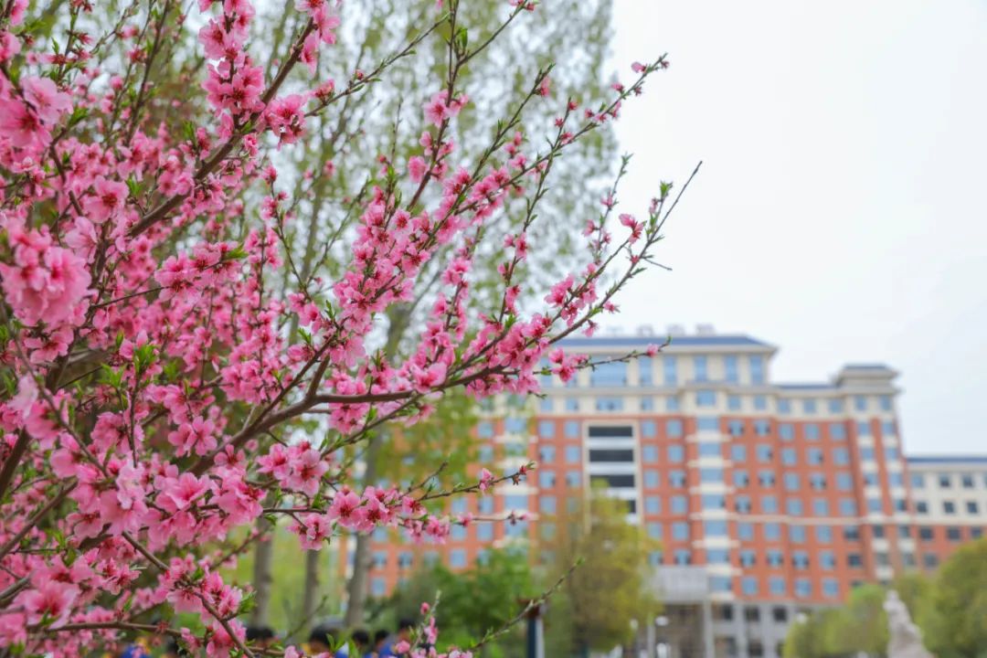 2022年河南化工技师学院工业分析与检验专业春季招生(45) 2022年河南化工技师学院工业分析与检验专业春季招生(45)